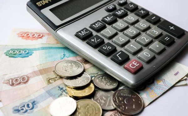 Пиар на больной теме? Наши парламентарии захотели ежегодно индексировать зарплаты всем россиянам