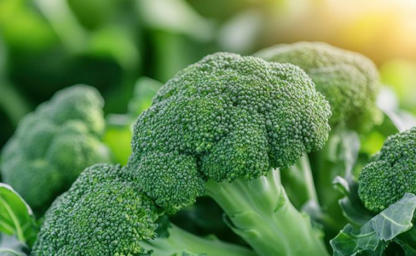 Россиянам назвали лучшие продукты, очищающие кровь Россиянам назвали лучшие продукты, очищающие кровь