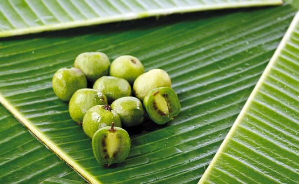 Врач назвал два продукта против рака Врач назвал два продукта против рака